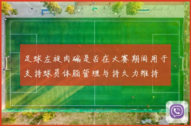 足球左旋肉碱是否在大赛期间用于支持球员体脂管理与持久力维持