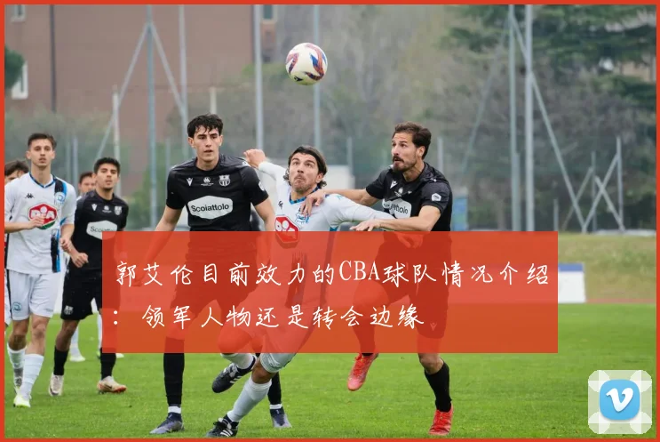 郭艾伦目前效力的CBA球队情况介绍:领军人物还是转会边缘