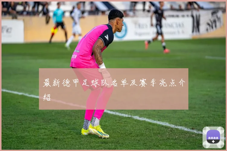 最新德甲足球队名单及赛季亮点介绍