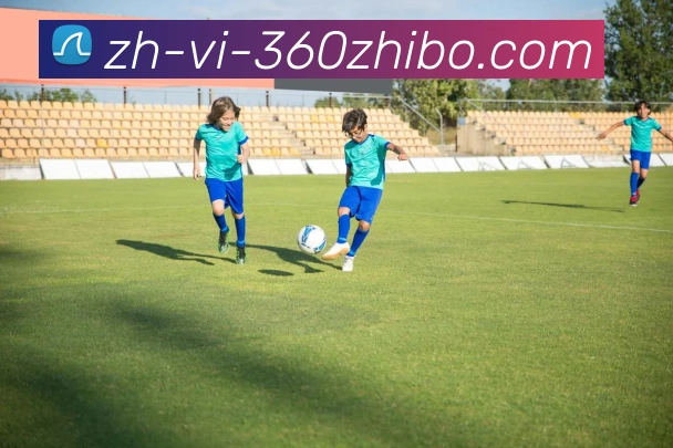 360直播平台生态图