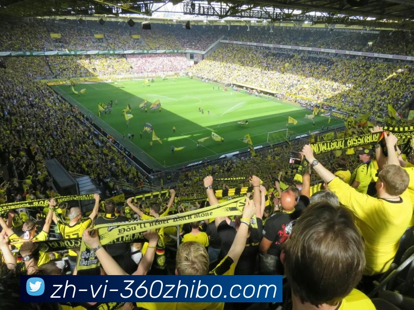 360直播APP 封面图